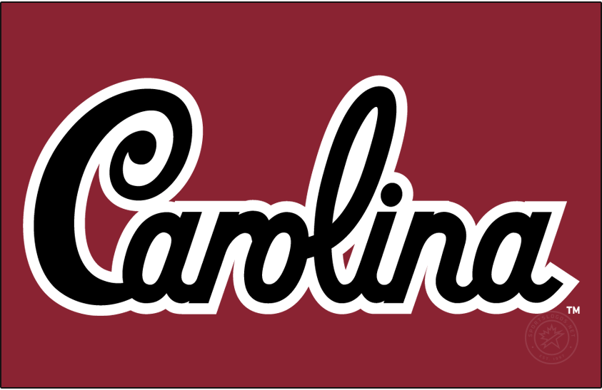 South Carolina Gamecocks 2018-Pres Wordmark Logo t shirts iron on transfers